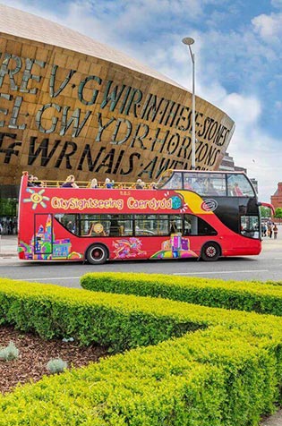 Visite de la ville en bus +35€