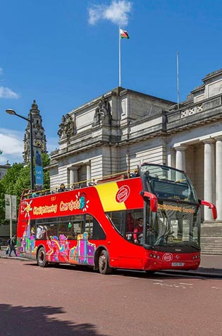 Visite de la ville en bus +35€